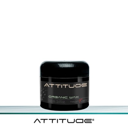 Attitude Organic Hair-Wax 100 ml