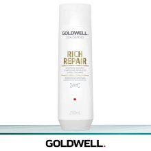Goldwell Rich Repair Restoring Shampoo 250 ml