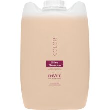 Dusy ENVITE Color Shine Shampoo 10 L