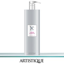 Artistique YC Color Shampoo 1 L