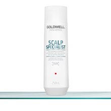 Goldwell Dualsenses Anti-Schuppen-Shampoo 250 ml