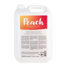 Dusy Envité Pfirsich Shampoo 5 L