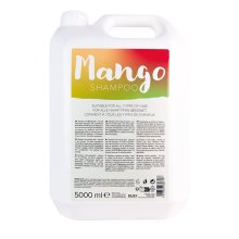 Dusy Envité Mango Shampoo 5 L