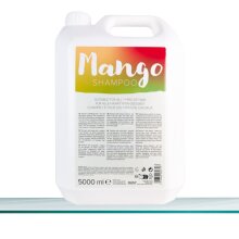 Dusy Envité Mango Shampoo 5 L
