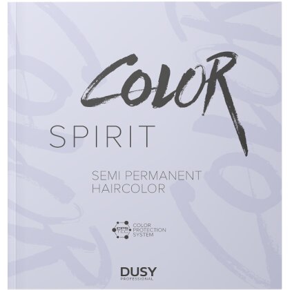 Dusy Color Spirit Farbkarte