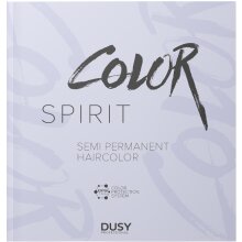 Dusy Color Spirit Farbkarte