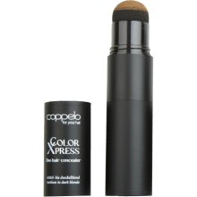 Coppelo ColorXPress Duo Hair Concealer 2 x 2,5g
