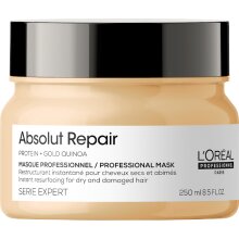 Loreal Serie Expert Absolut Repair Maske 250ml