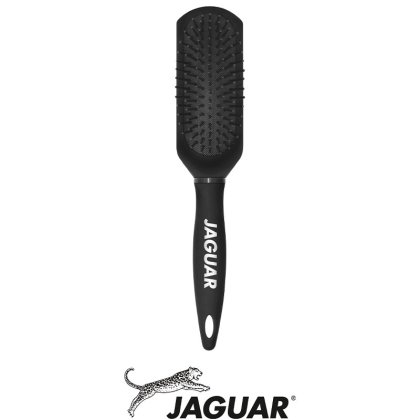 Jaguar kleine Kissenbürste S-Serie S-3