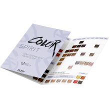 Dusy Color Spirit Intensivtönung 100ml