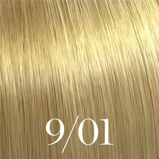 9/01 lichtblond natur asch