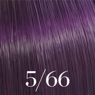 5/66 hellbraun violett intensiv