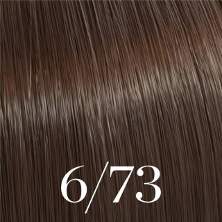 6/73 dunkelblond braun gold