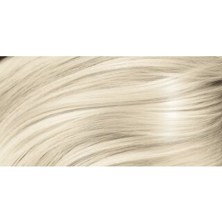 12.1 Arctic Light Ash Blonde