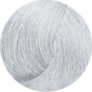silber 9/81
