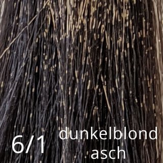 6/1 dunkelblond asch