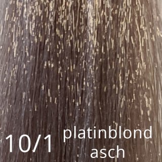 10/1 platinblond asch